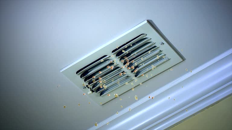 Best Air Duct Cleaning Near Me  in Manitowoc, WI